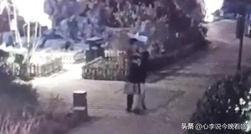 江山吃瓜事件视频全集免费,揭秘视频全集背后的惊人真相  第3张